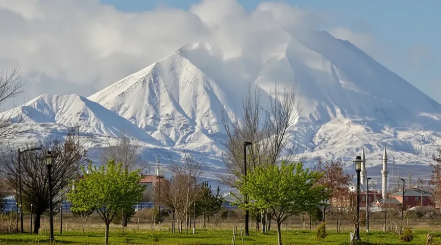Ağrı Şehir İçi ve Şehirler Arası Ev ve Ofis Taşıma