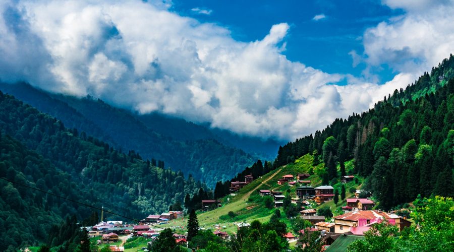 Artvin Şehir İçi ve Şehirler Arası Ev ve Ofis Taşıma