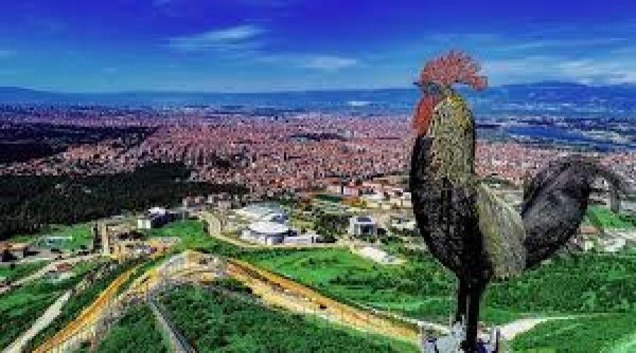 Denizli Şehir İçi ve Şehirler Arası Ev ve Ofis Taşıma