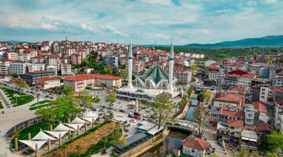 Düzce Şehir İçi ve Şehirler Arası Ev ve Ofis Taşıma