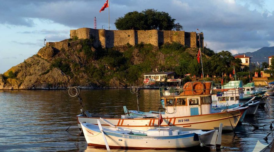 Giresun Şehir İçi ve Şehirler Arası Ev ve Ofis Taşıma