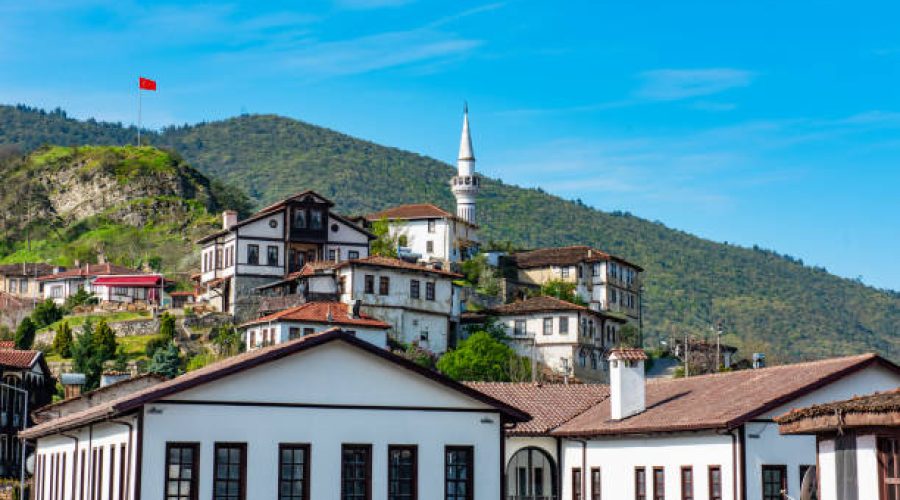 Sakarya Şehir İçi ve Şehirler Arası Ev ve Ofis Taşıma