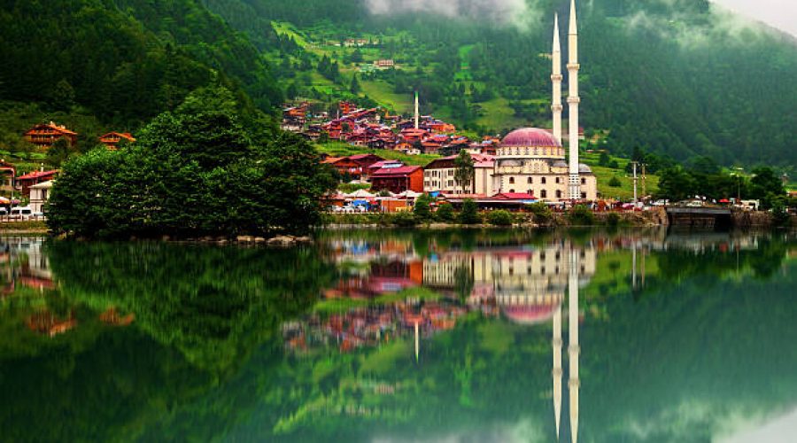 Trabzon Şehir İçi ve Şehirler Arası Ev ve Ofis Taşıma